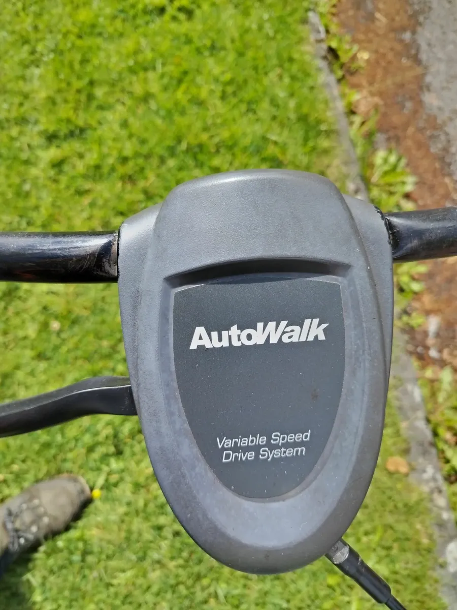 Lawnmower - Image 2