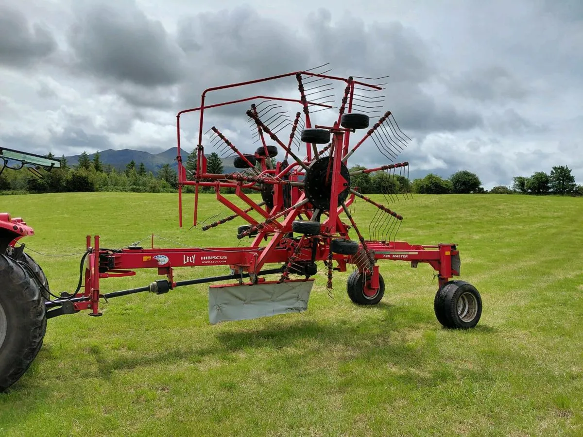 Lely hibiscus 725 rake - Image 1