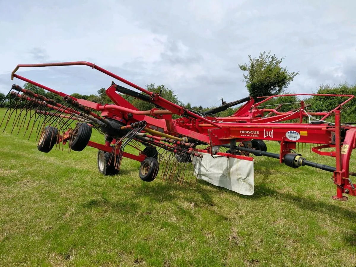 Lely hibiscus 725 rake - Image 2