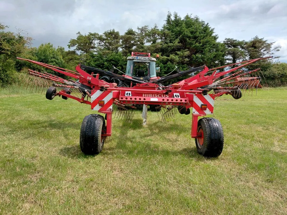 Lely hibiscus 725 rake - Image 3