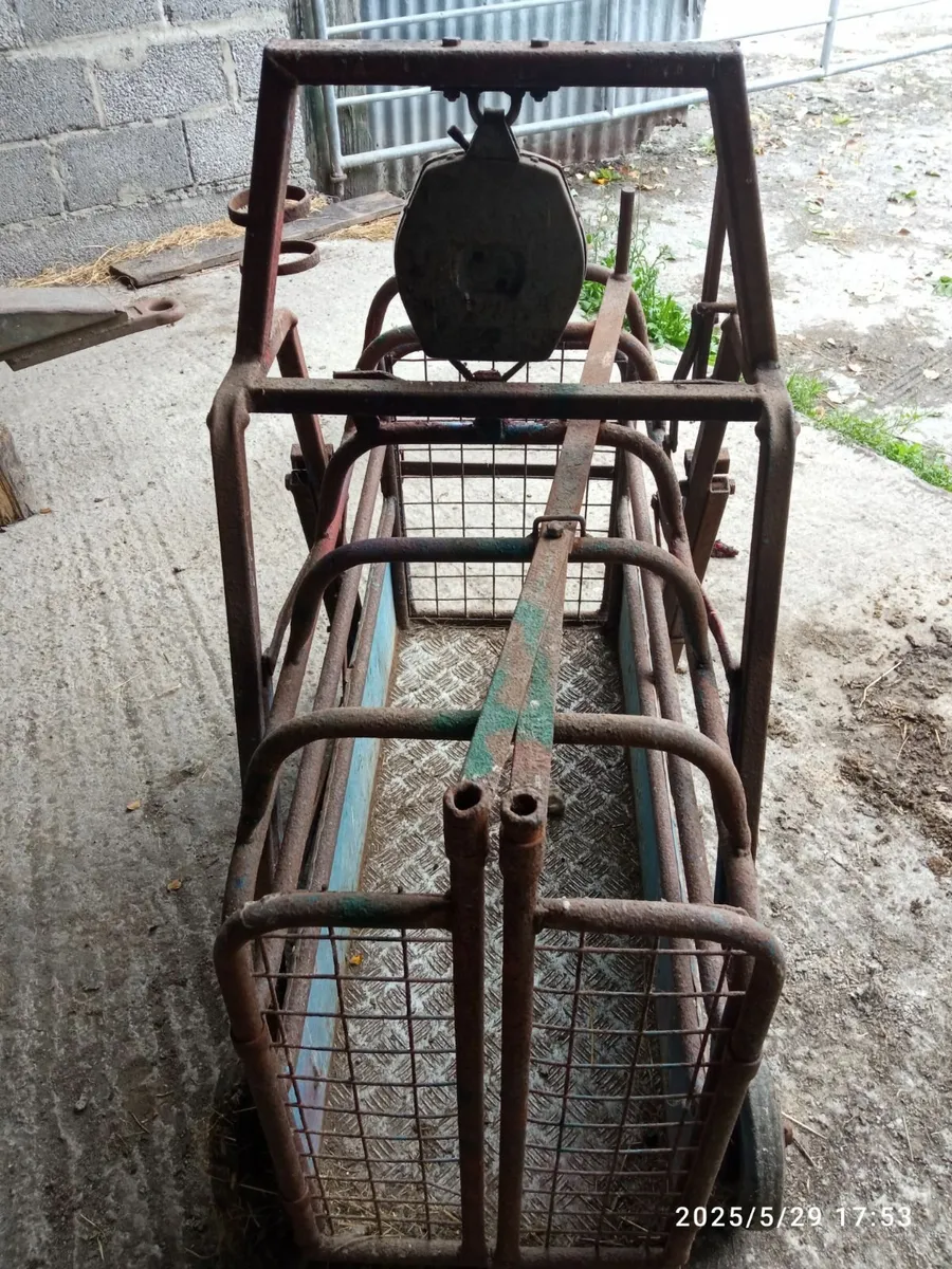 Lamb weighbridge - Image 2