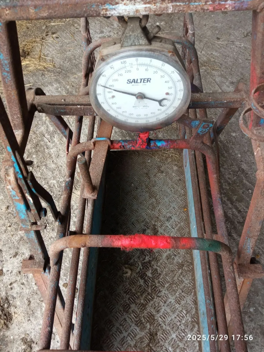 Lamb weighbridge - Image 3