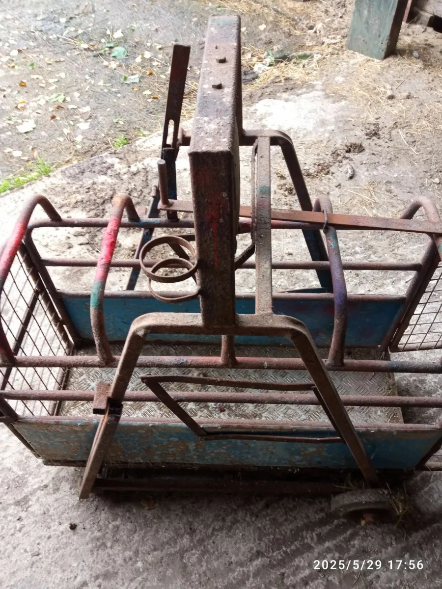 Lamb weighbridge - Image 4