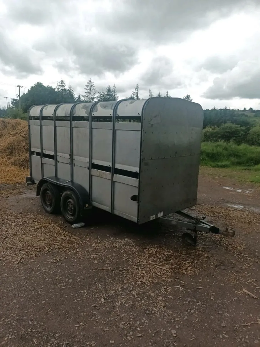 12ft cattle box - Image 1