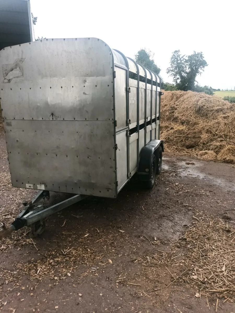 12ft cattle box - Image 2