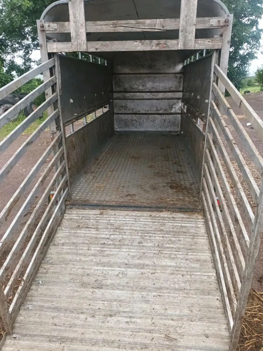 12ft cattle box - Image 4