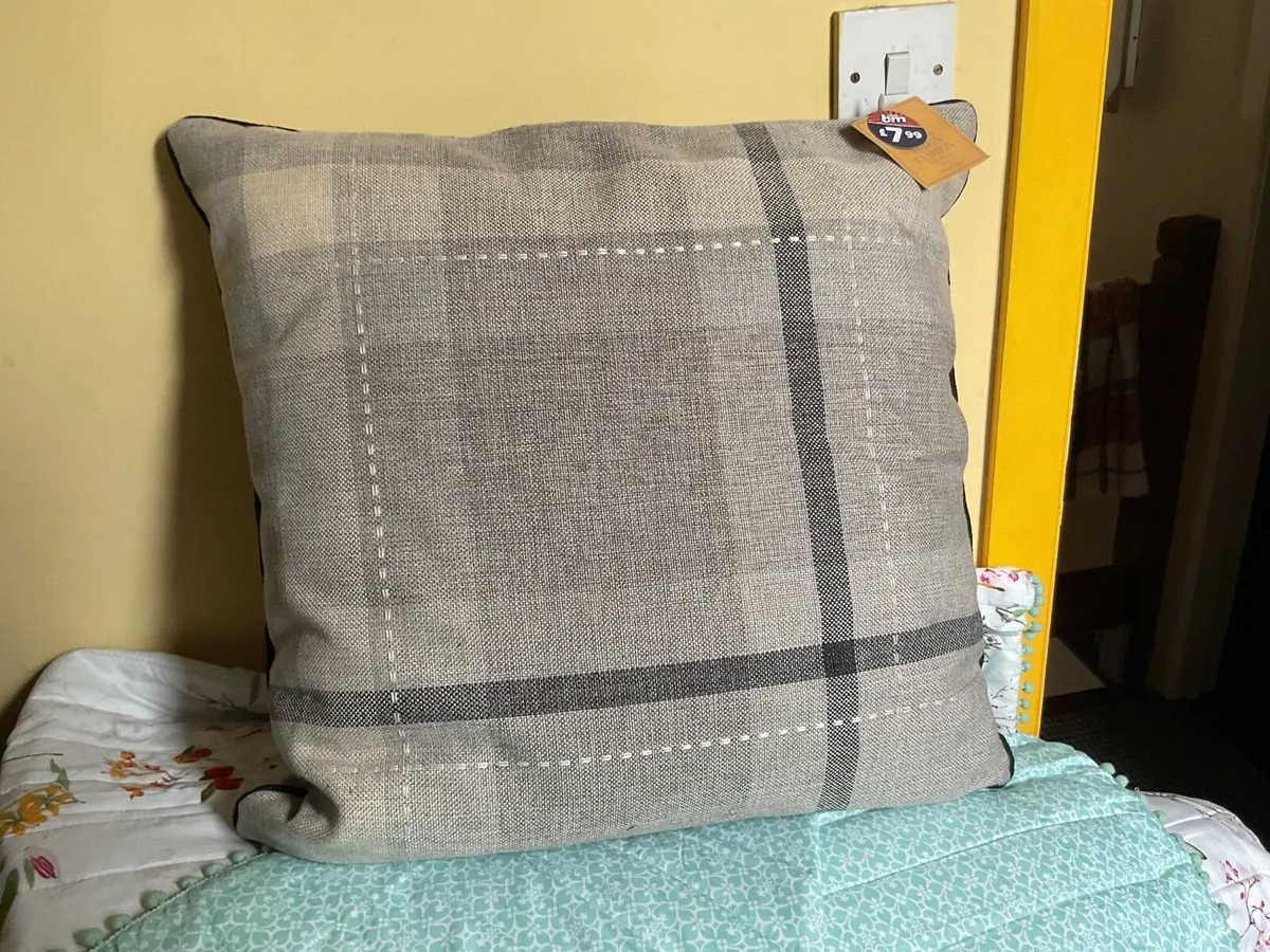 Cushion