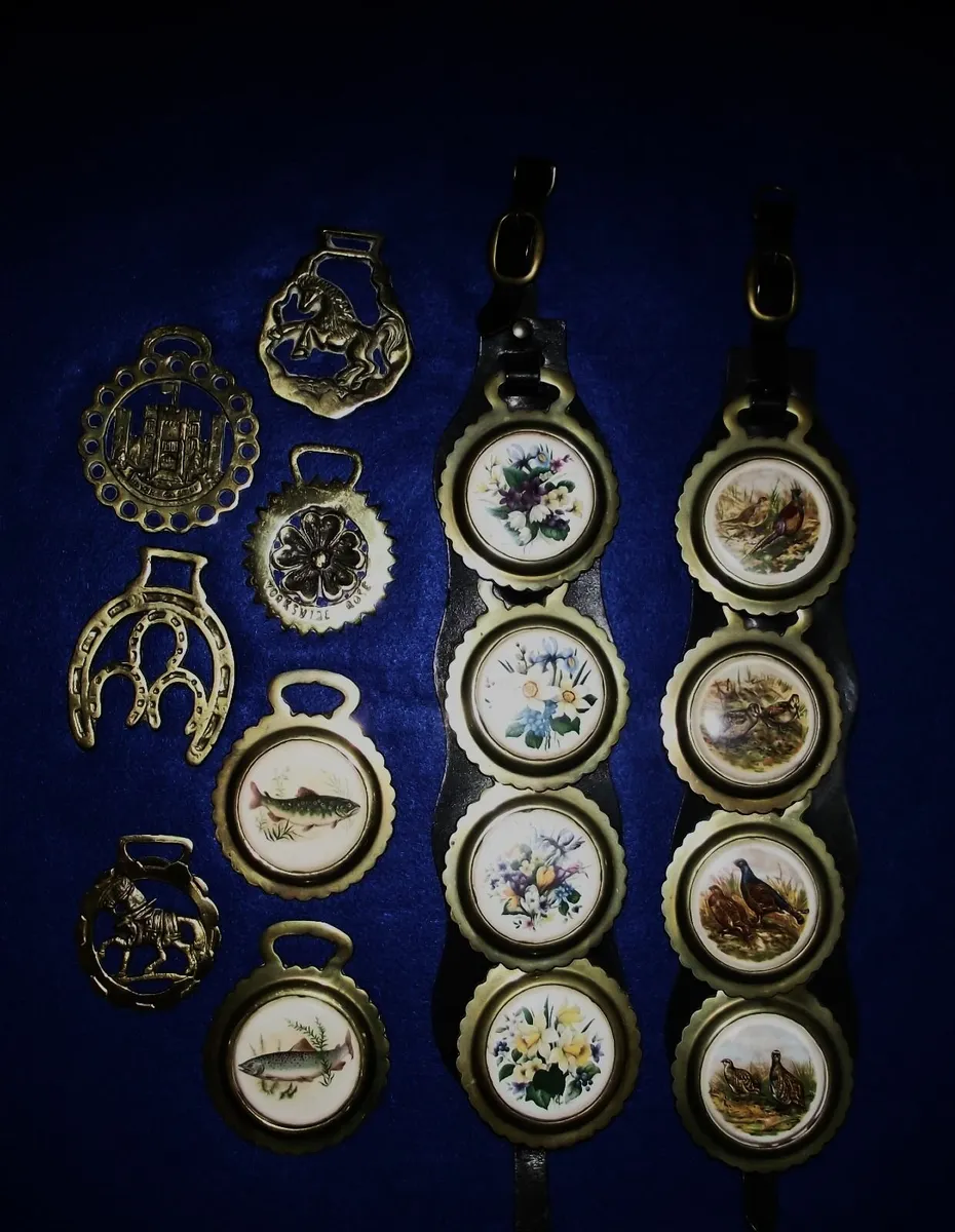 Horse Brasses (A) - Image 1