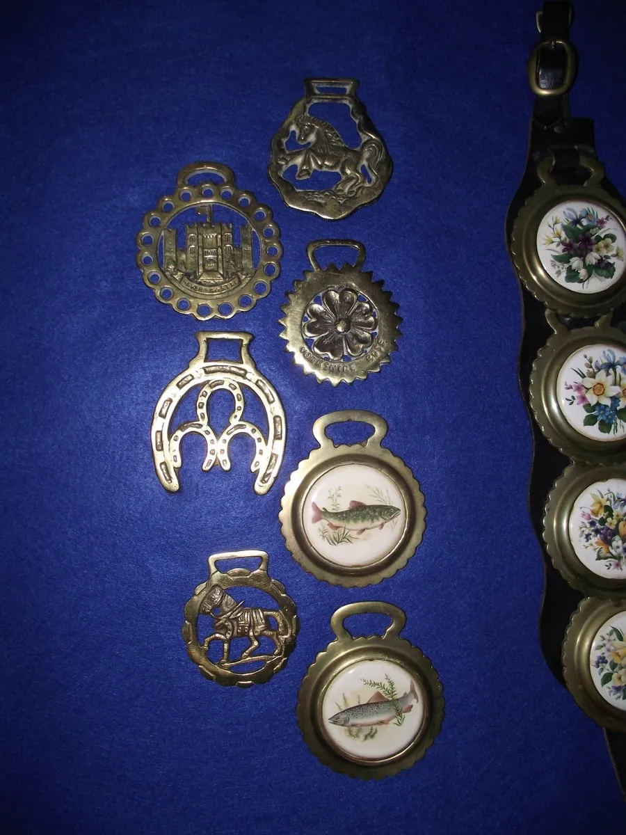 Horse Brasses (A) - Image 3