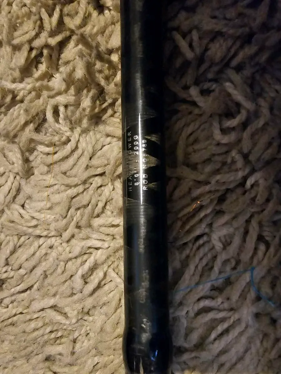 BFT Lizzard X Pierre Monjarret 259cm 200g - Image 3