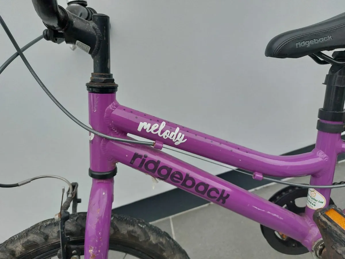 Kids Ridgeback Bike - Image 2