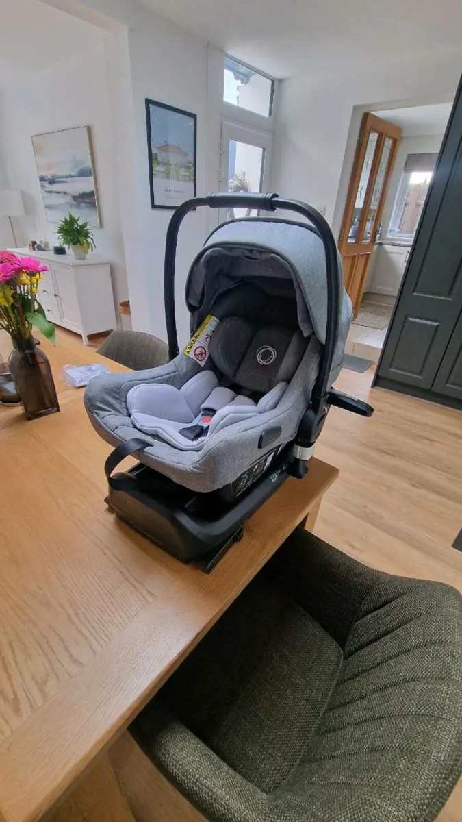 Bugaboo Car Seat - Image 1