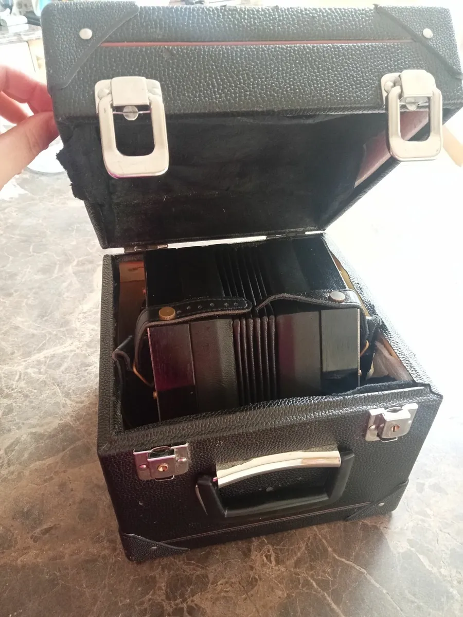 Concertina - Image 4
