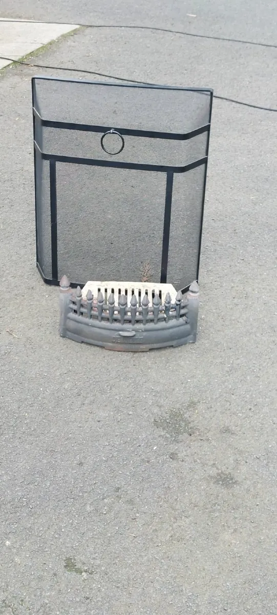 Fire guard and grate - Image 2