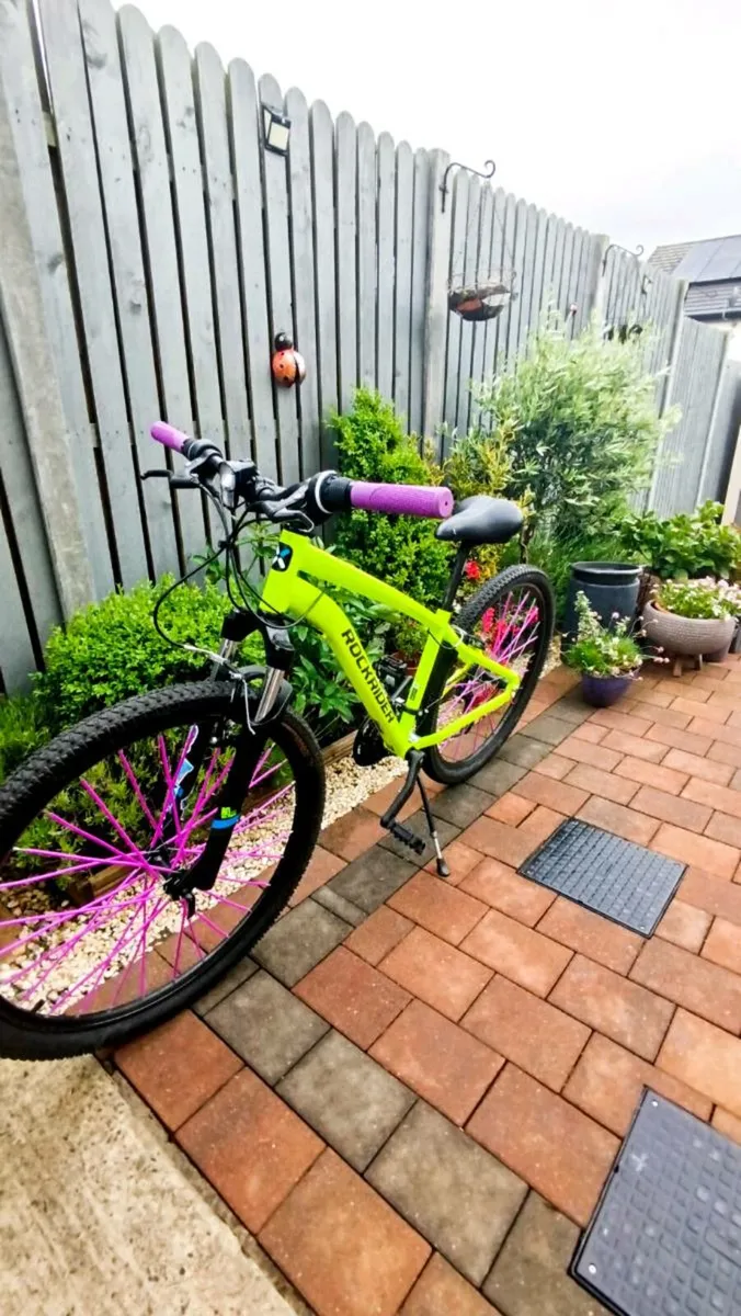 mountain bike - Image 1
