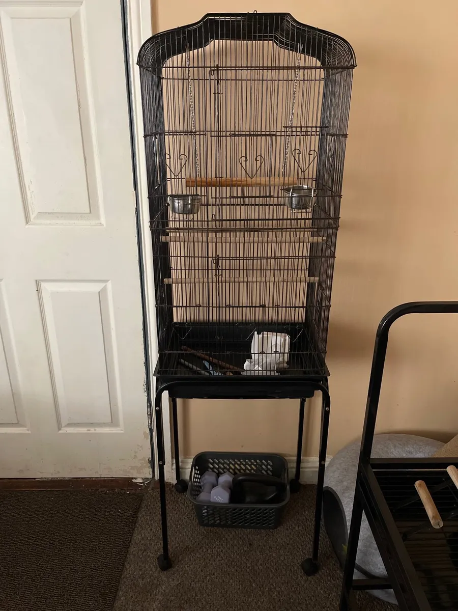 Birds cage - Image 3