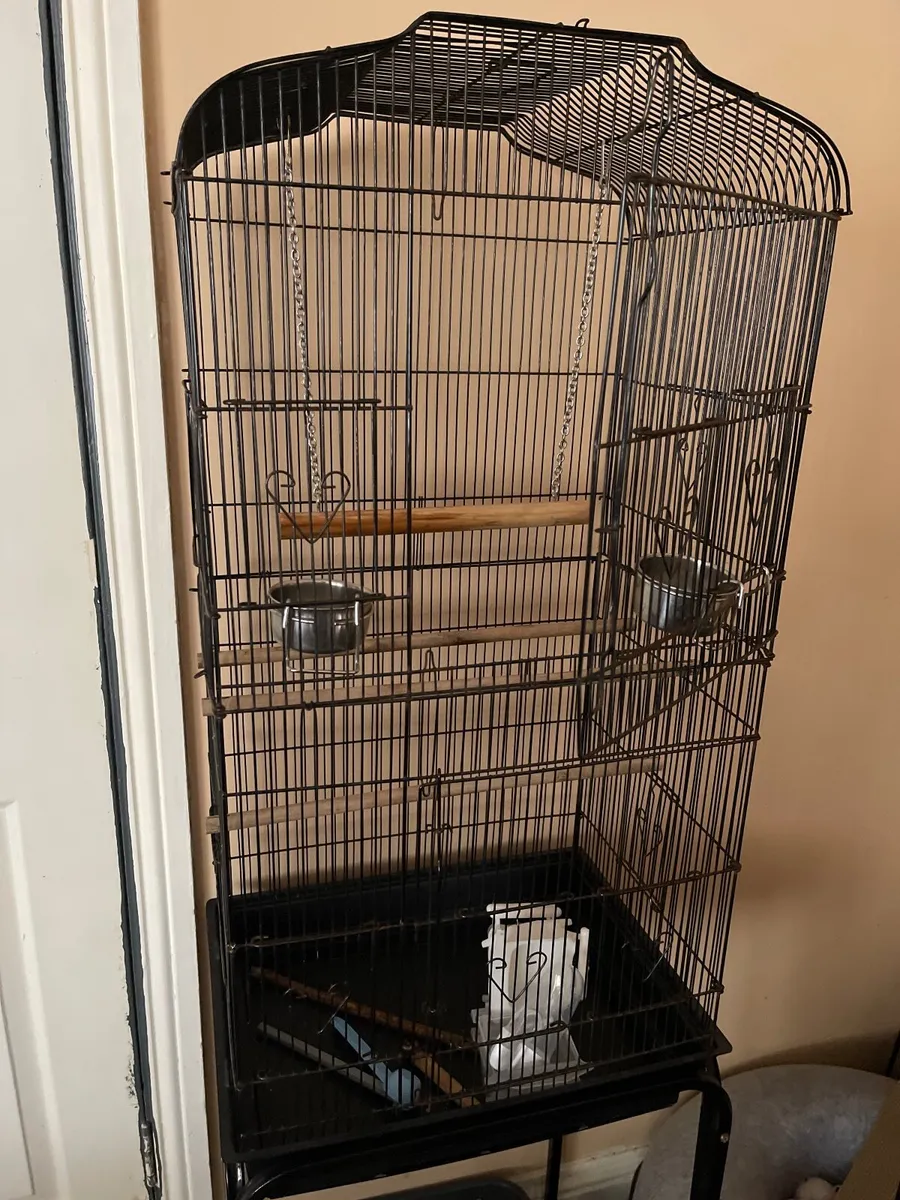 Birds cage - Image 4