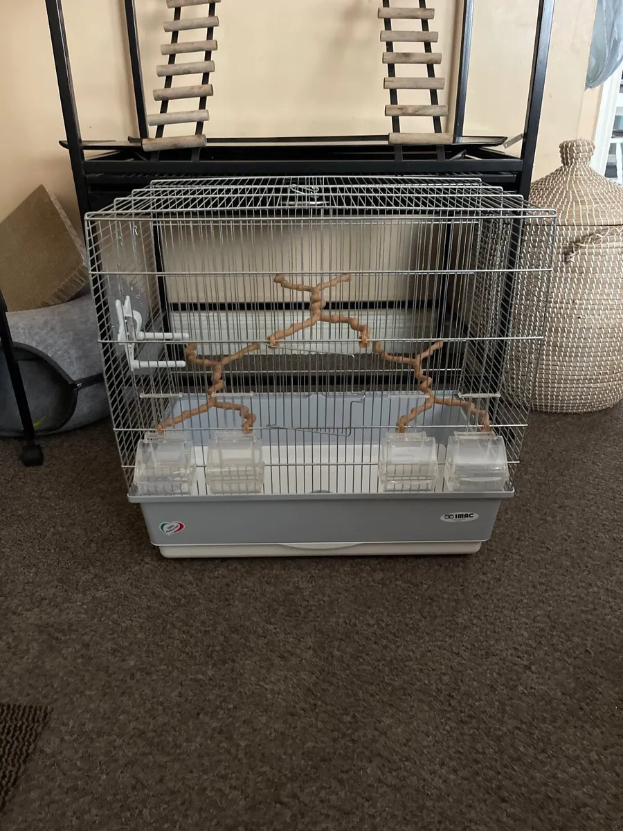 Birds cage - Image 1