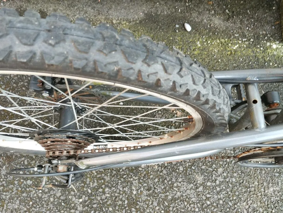 Boys 24inch bike - Image 4