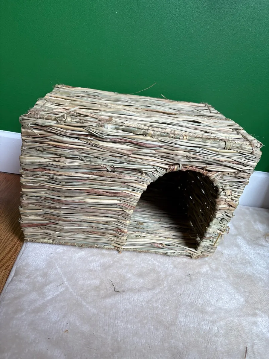 Rabbit Starter kit + Rabbit - Image 3