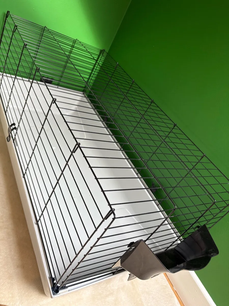 Rabbit Starter kit + Rabbit - Image 4