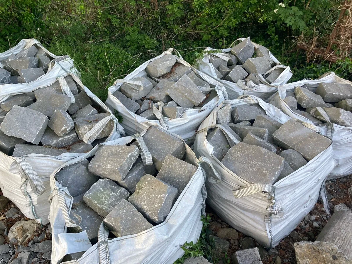 Roscommon limestone - Image 1