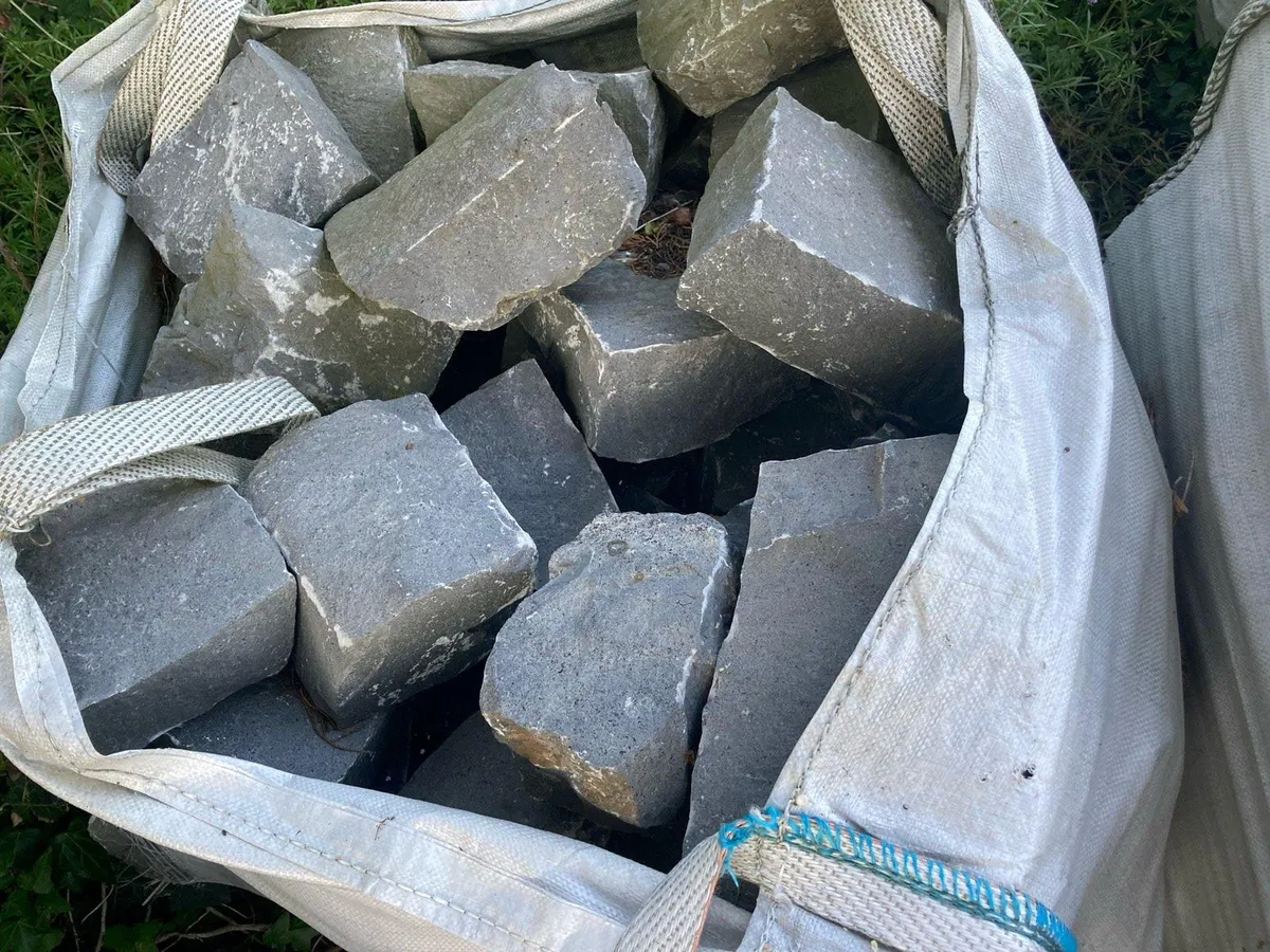 Roscommon limestone - Image 2