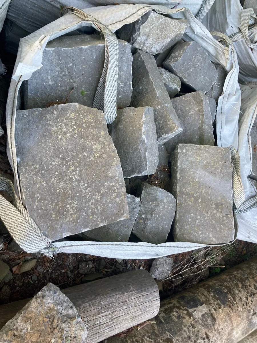Roscommon limestone - Image 3