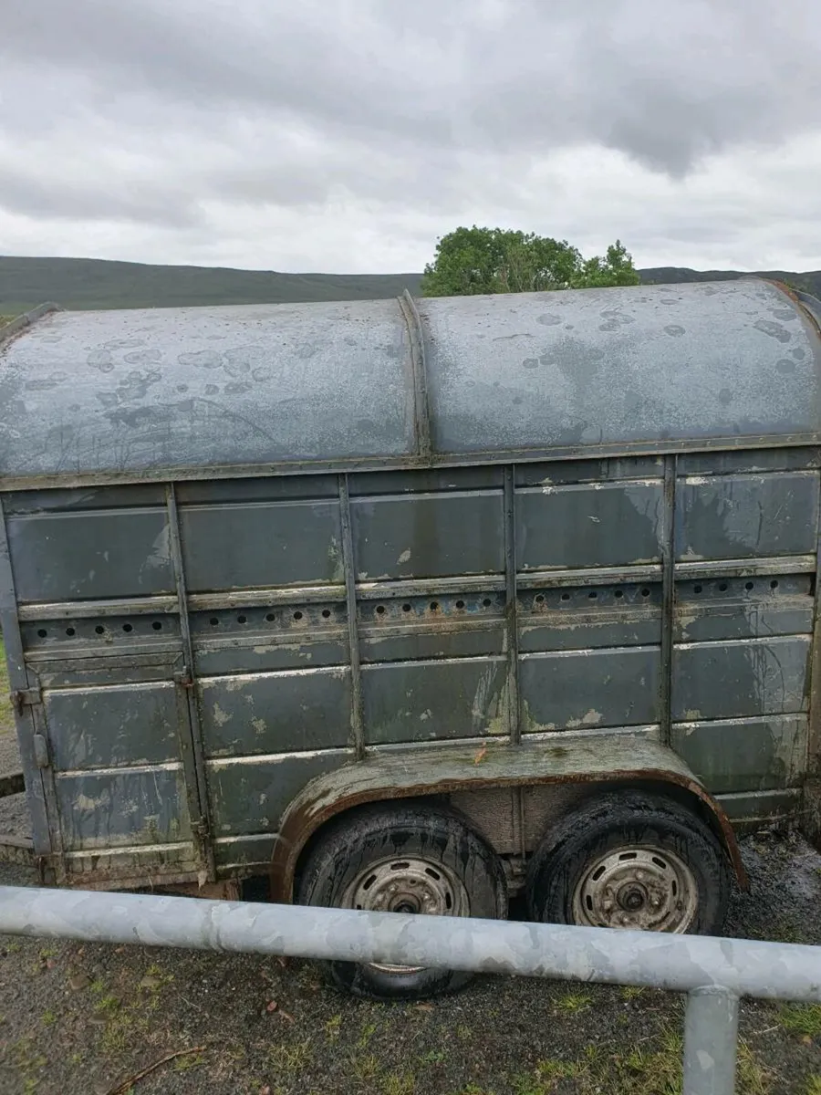 Trailer - Image 4
