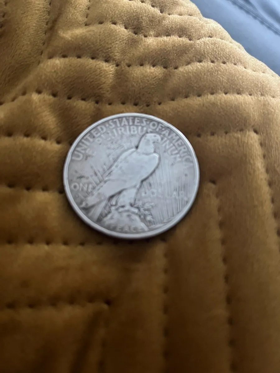 One dollar coin - Image 2