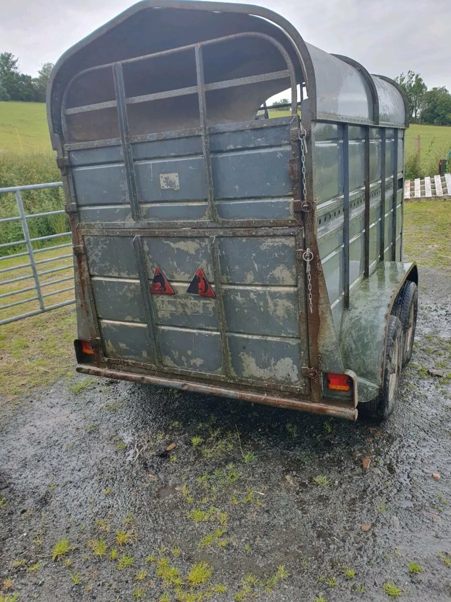 Trailer - Image 2