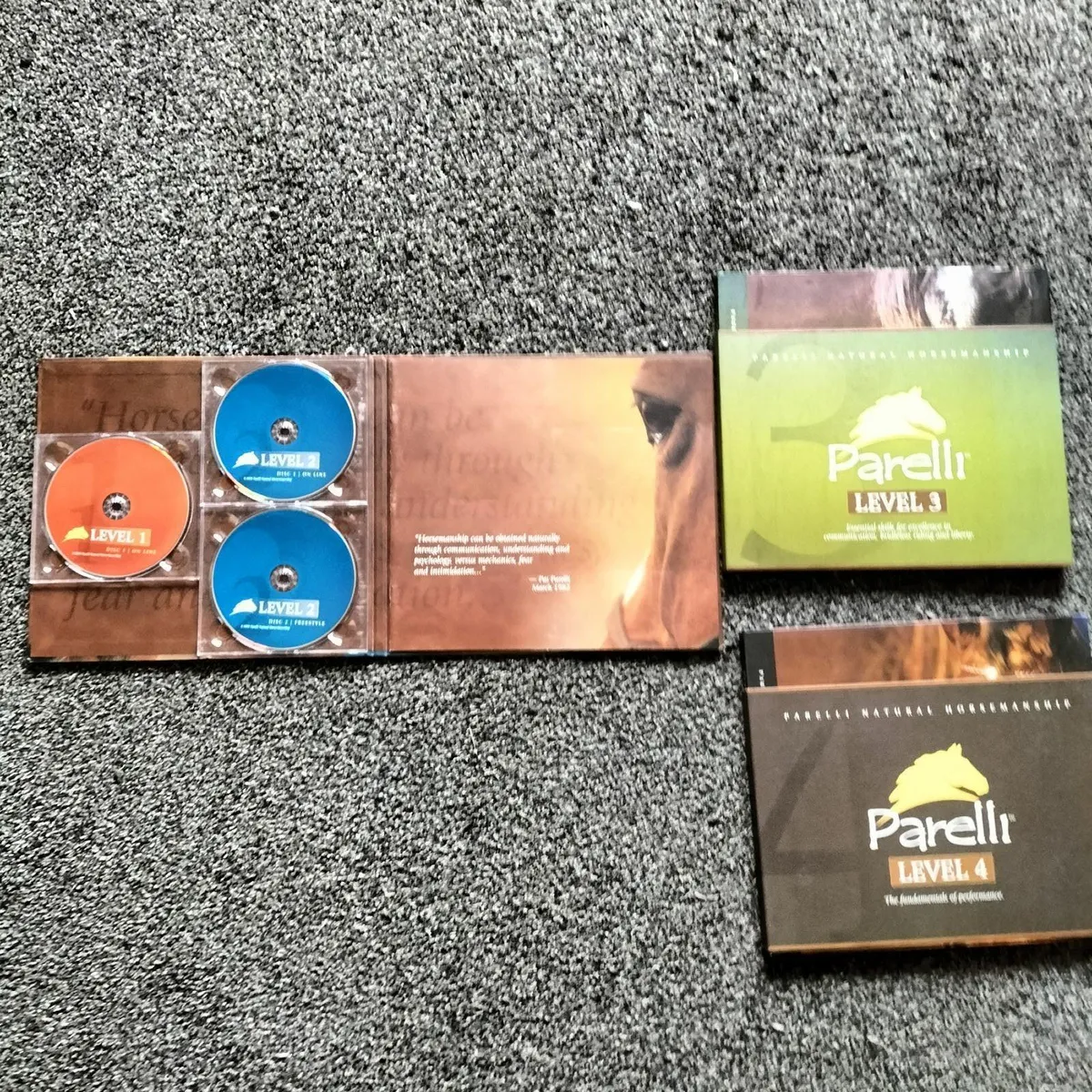 Horse educational DVD - Image 2