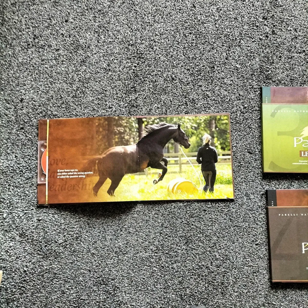 Horse educational DVD - Image 3