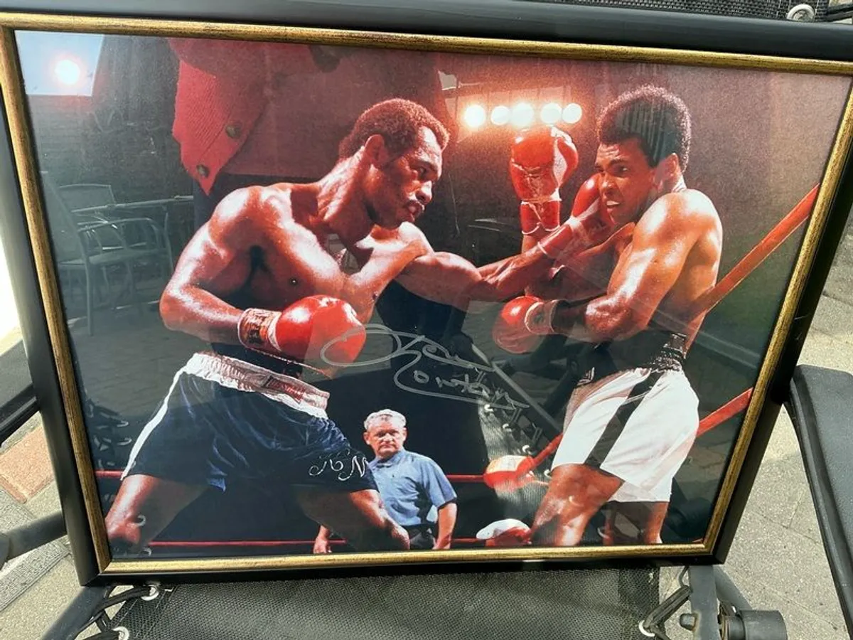 Boxing Stars - Image 2