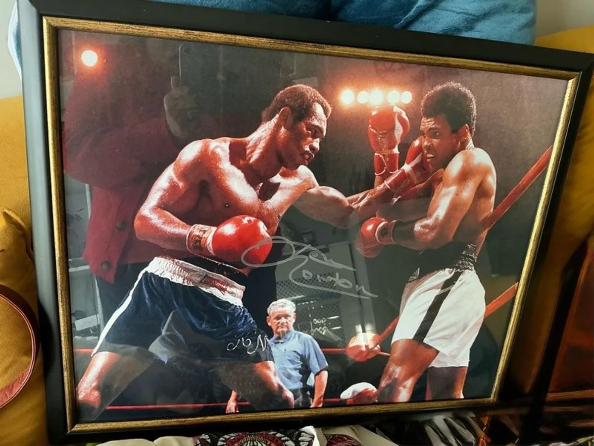 Boxing Stars - Image 3