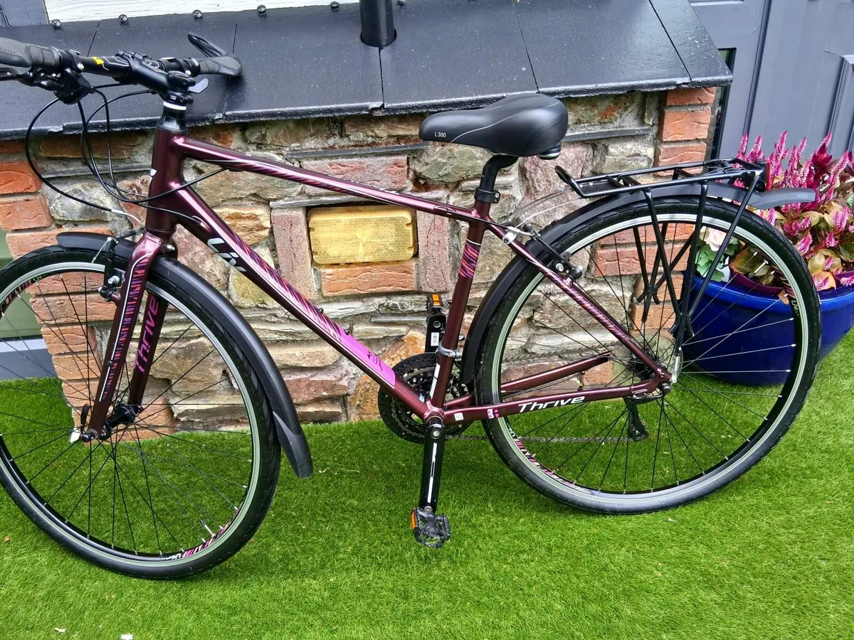 Bycicle Treck Live Thrive 3 "PRICED TO SELL" - Image 1