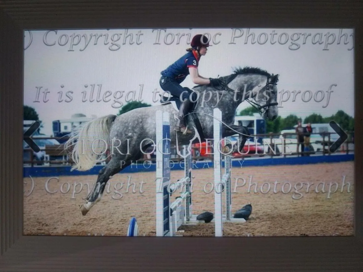 Riding Mare and foal - Image 3