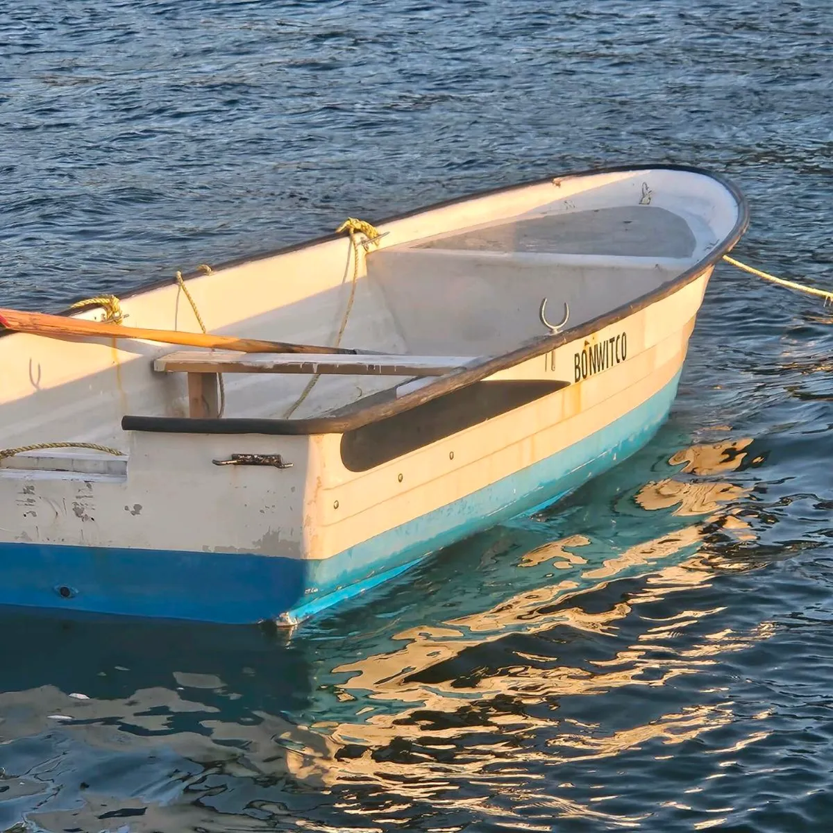 Tender - Image 2