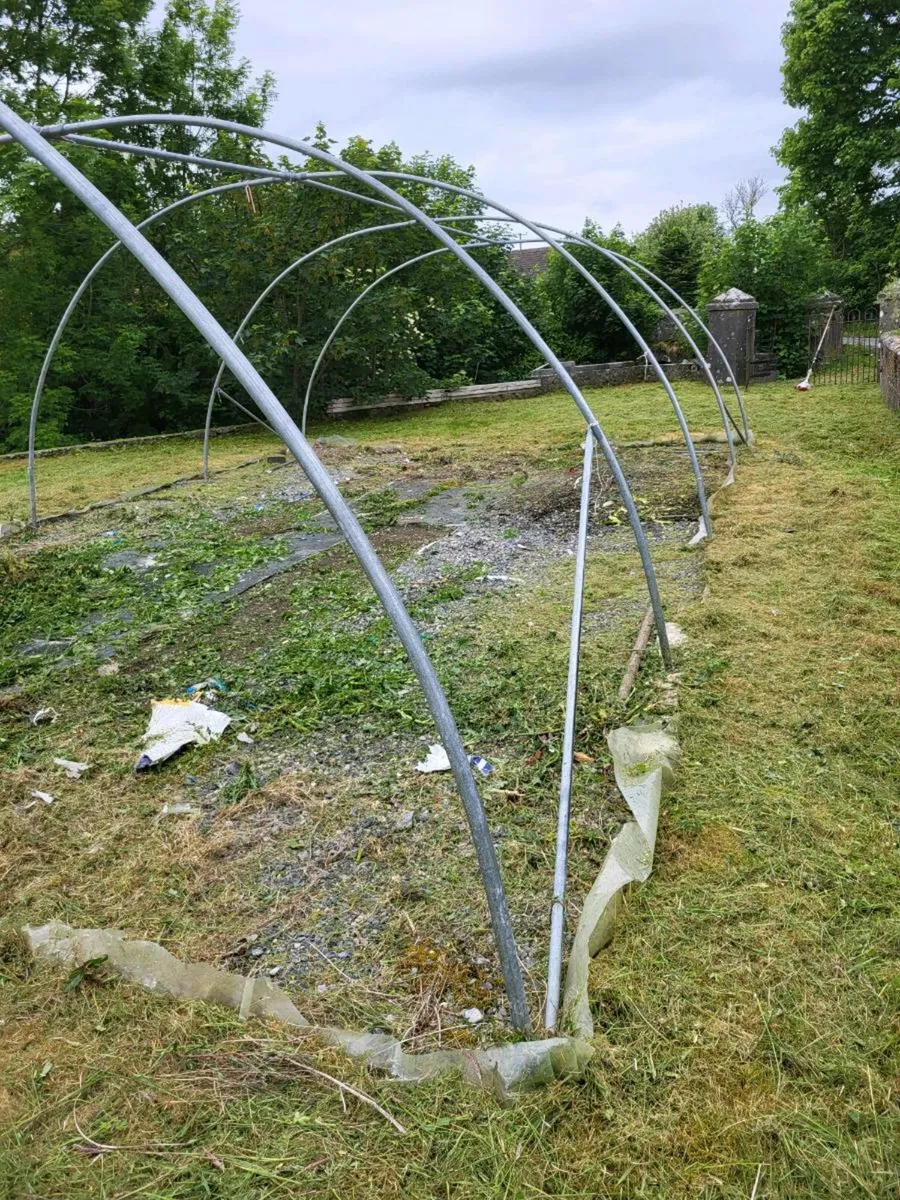 Poly tunnel FRAME - Image 2