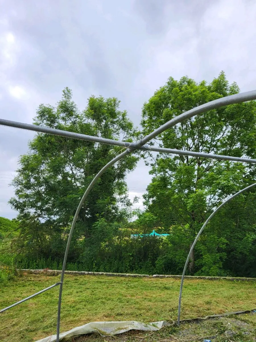 Poly tunnel FRAME - Image 3