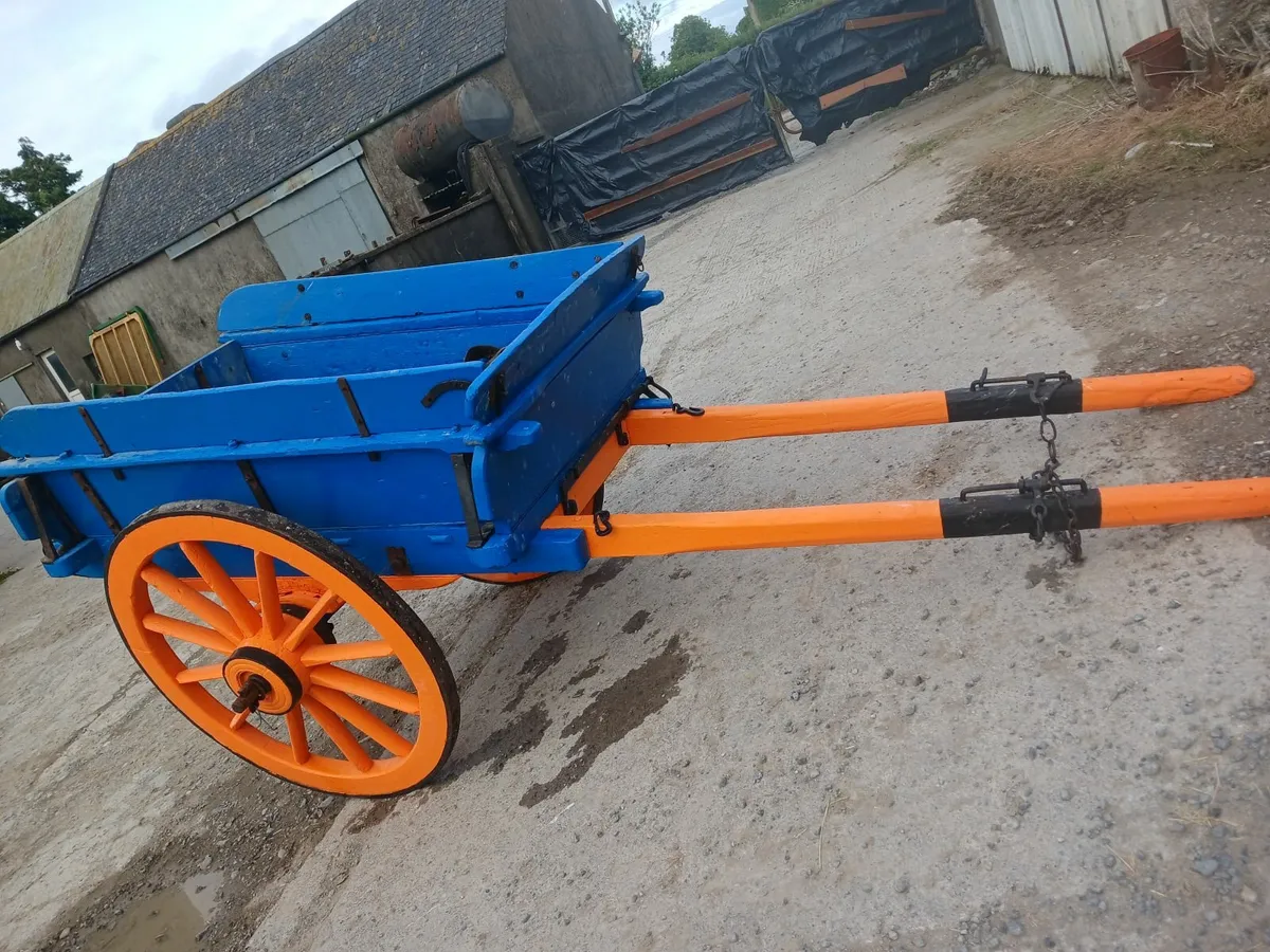 Horses Cart - Image 2