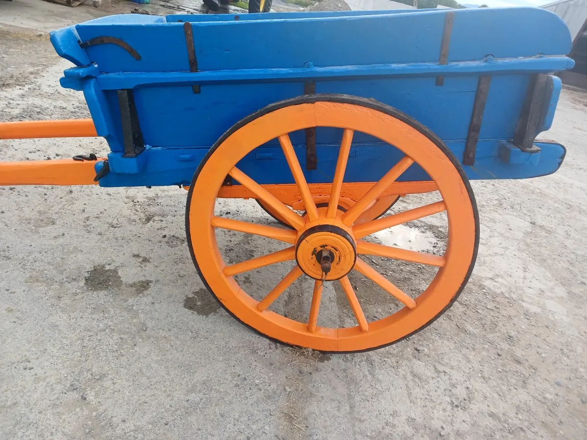 Horses Cart - Image 1