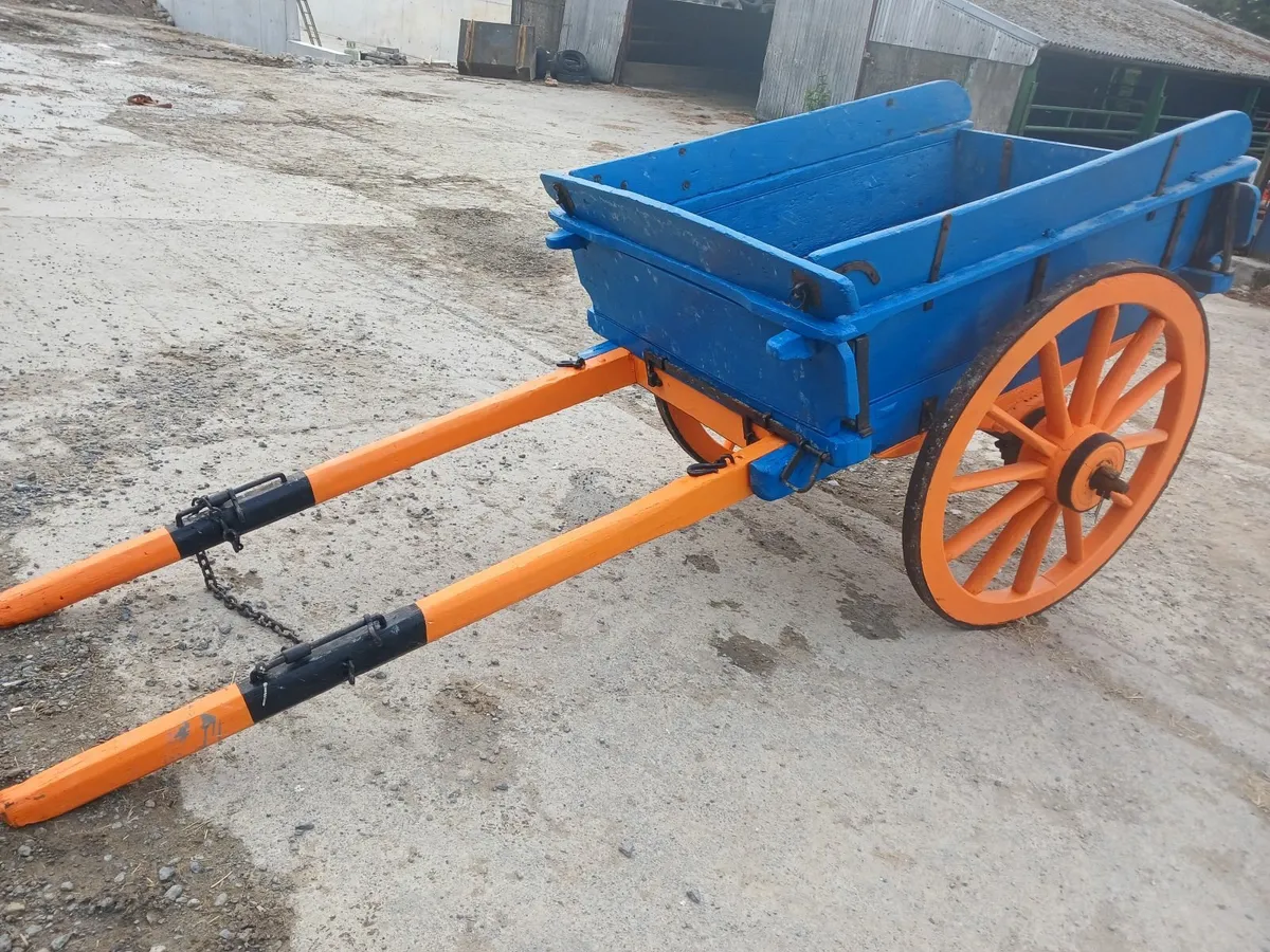 Horses Cart - Image 3