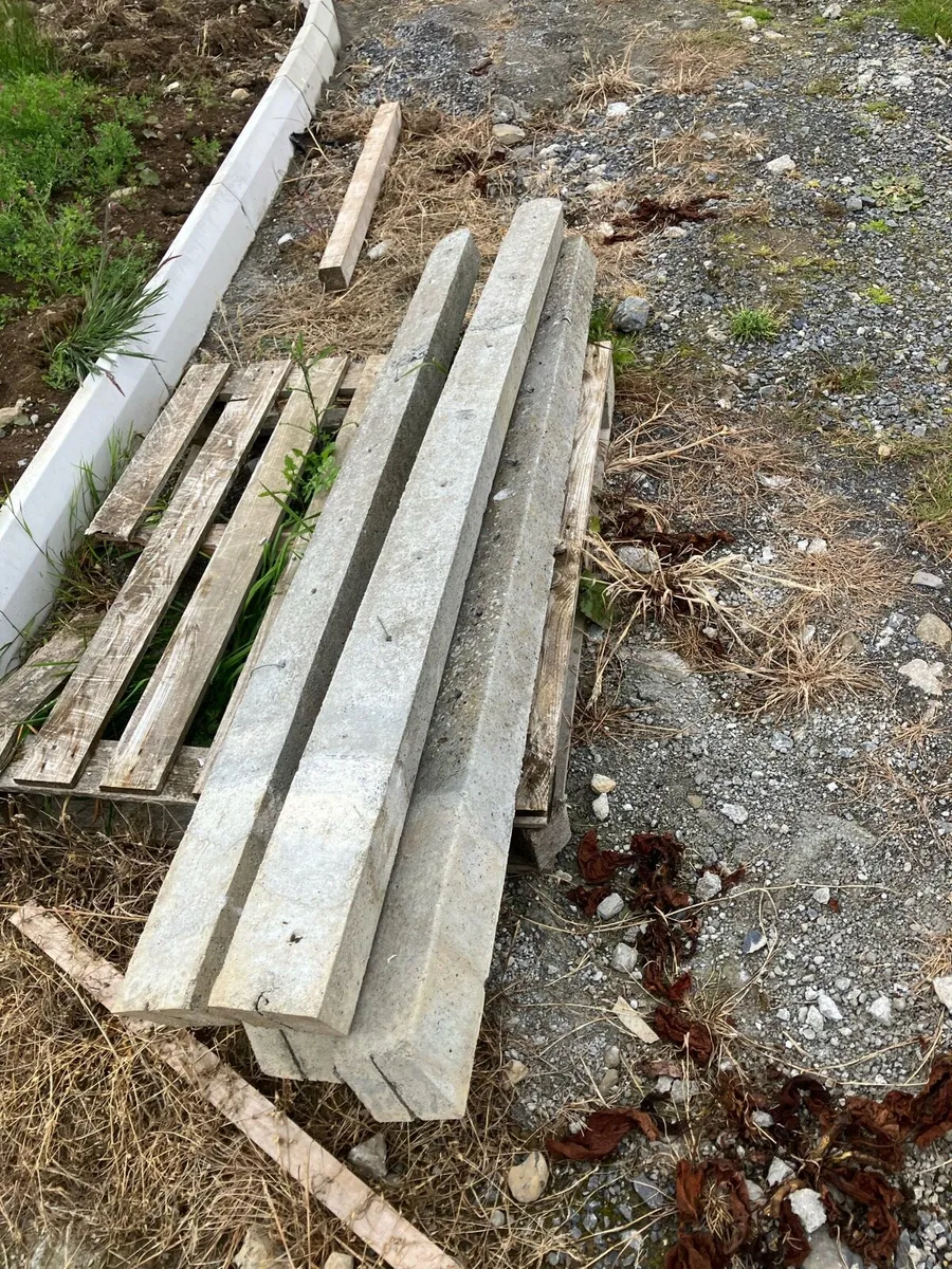 Concrete posts - Image 1