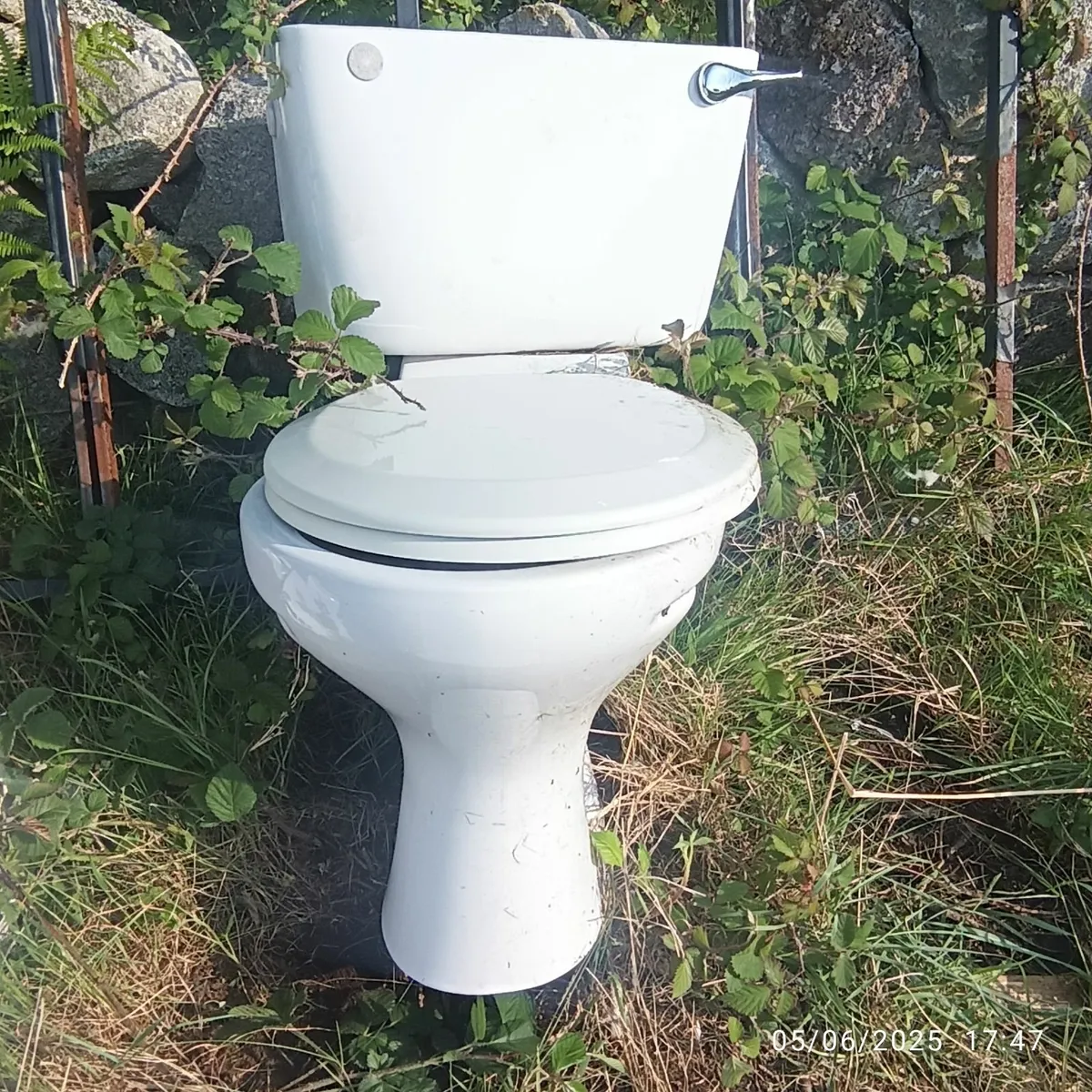 Toilet - Image 1