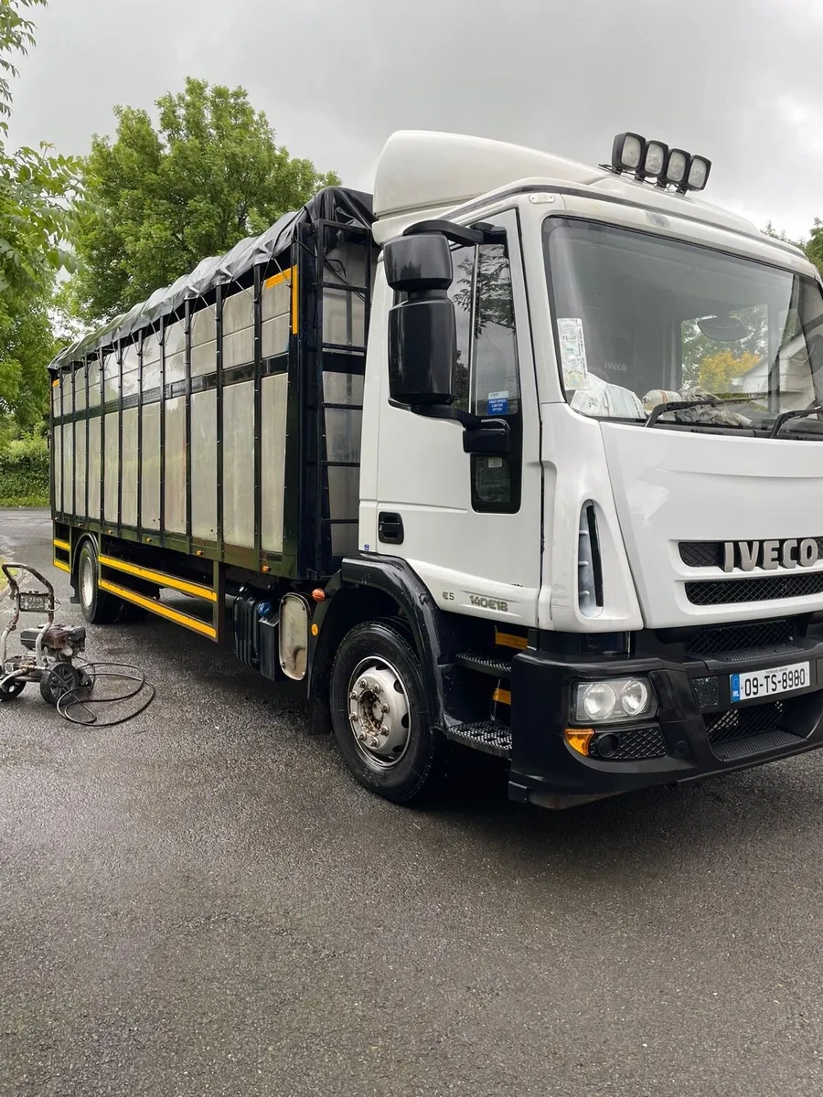 IVECO cattle lorry for sale - Image 1