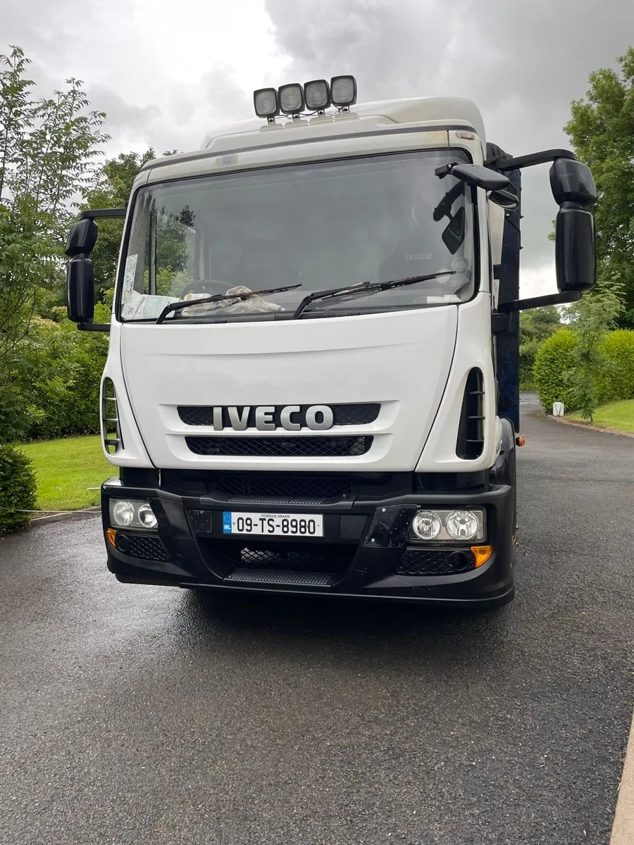 IVECO cattle lorry for sale - Image 2
