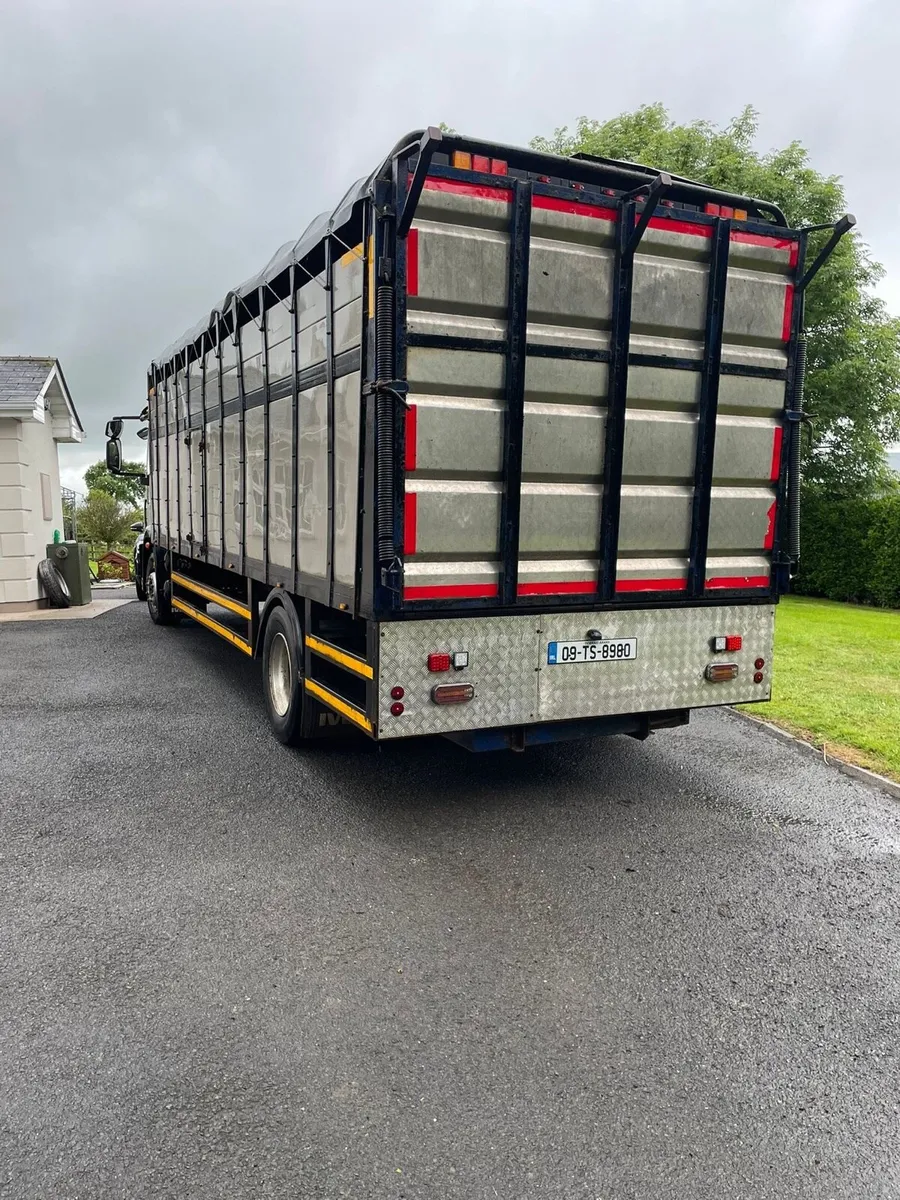 IVECO cattle lorry for sale - Image 3