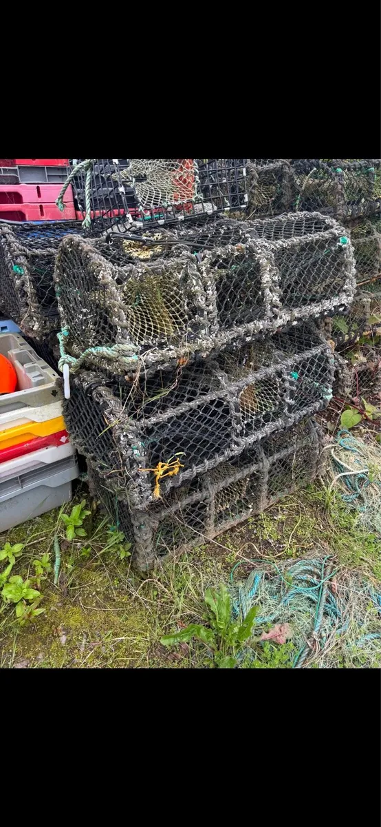 Crab Lobster pots - Image 4