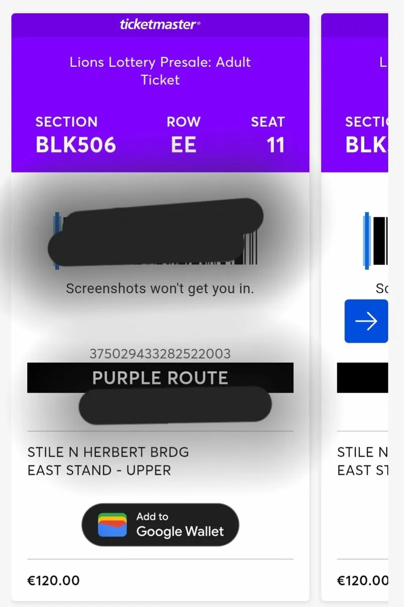 Lions v Argentina tickets x 2 - Image 3